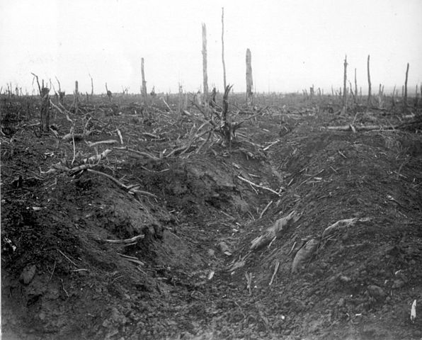 Delville 1916