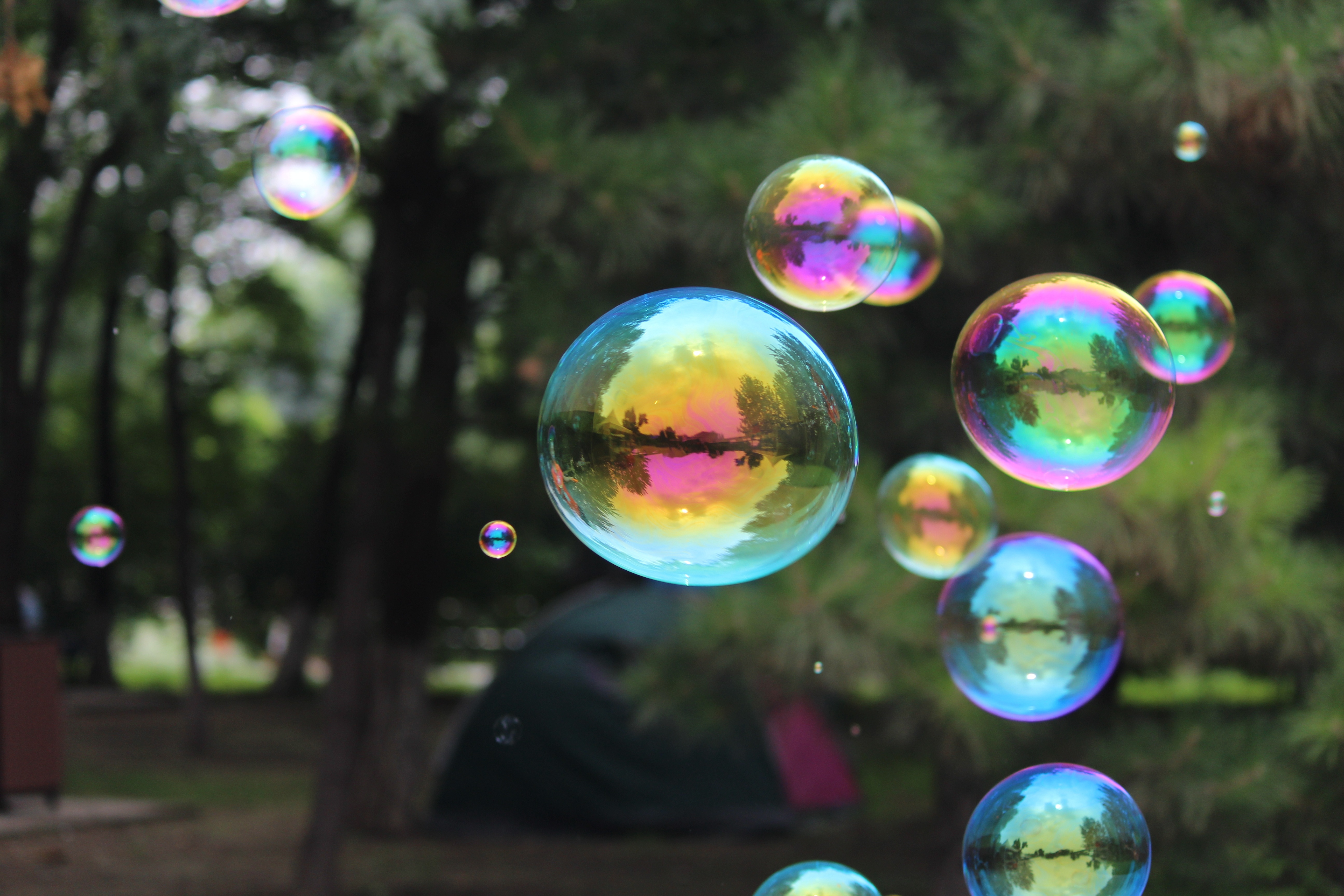 A close-up of multi-coloured bubbles suspended inthe air in front of a background of blurred trees