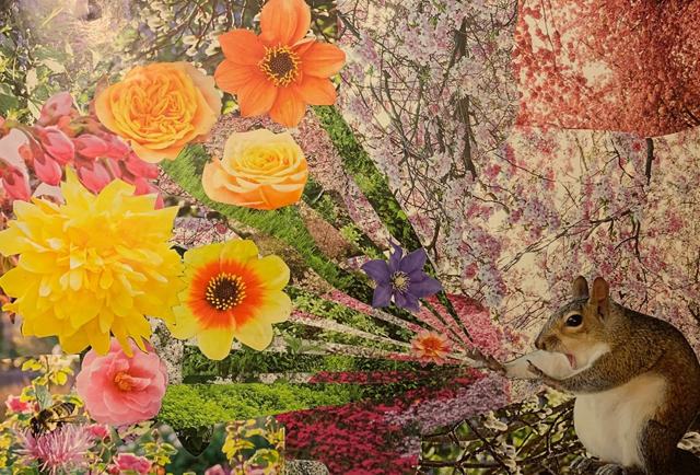 A collage image by the author featuring flowers and a squirrel