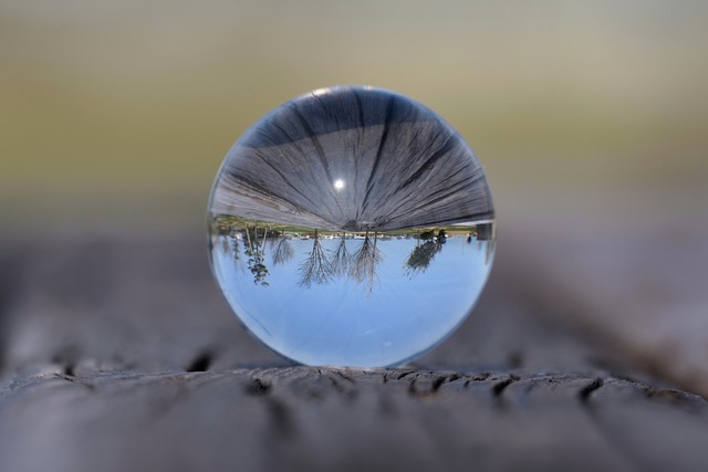 A landscape reflected in a drop of water