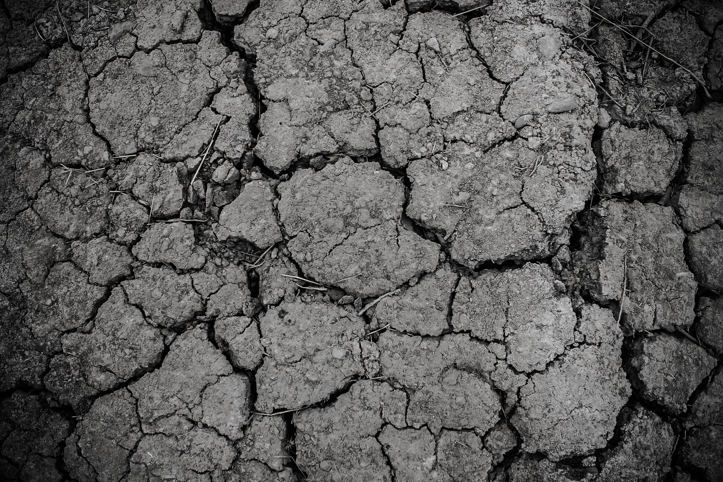 A close-up of dry, black, very cracked soil filling the frame