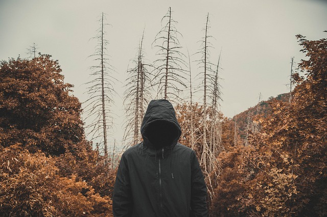 A hooded figure with its face hidden stands in a forest