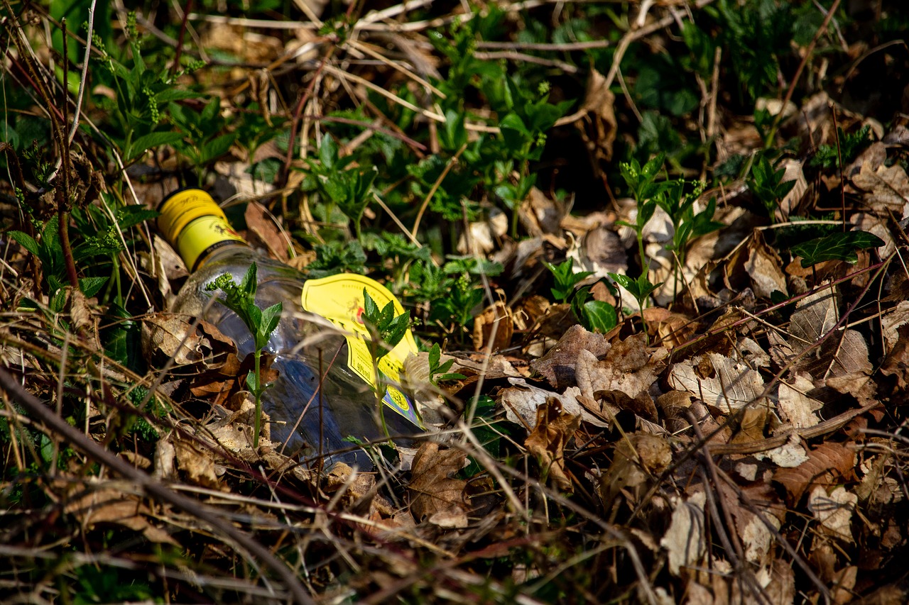 Glass bottle, abandoned in a bed of leaves