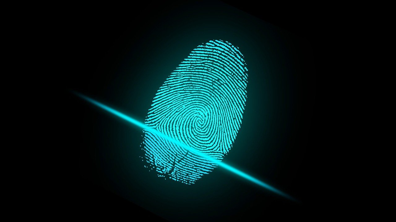 A computer representation of a fingerprint being scanned electronically