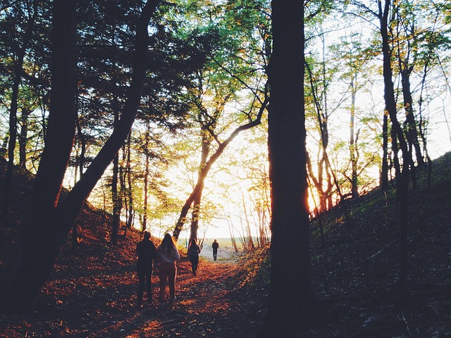 A group of women hike through a sunset wood